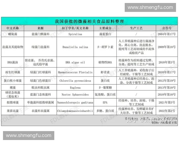 围绕2026世界杯赛程全景解析西班牙替补阵容深度与战术前瞻